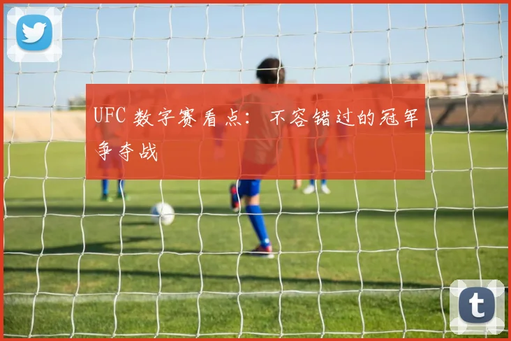 UFC 数字赛看点：不容错过的冠军争夺战