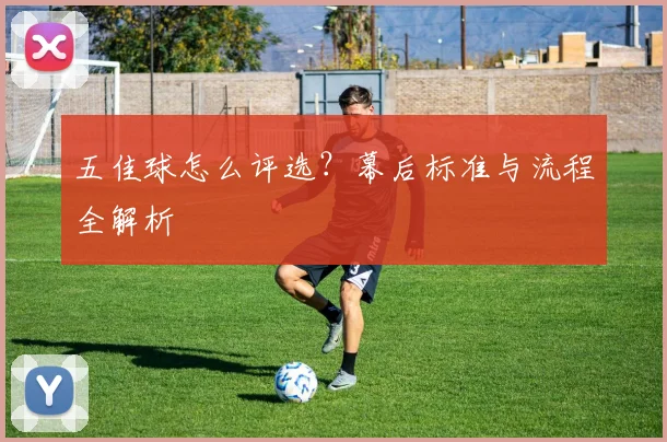 五佳球怎么评选?幕后标准与流程全解析